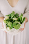 Mesh Produce Bags Set
