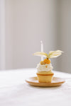 Beeswax Candles Pastel Birthday